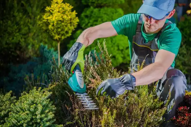 landscaping services Tutwiler